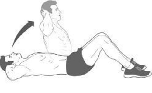 exercices abdominaux de sit ups