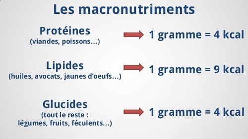 Calculer les macronutriments pour perdre du poids de façon naturelle